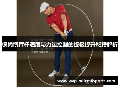 德尚博挥杆速度与力量控制的终极提升秘籍解析