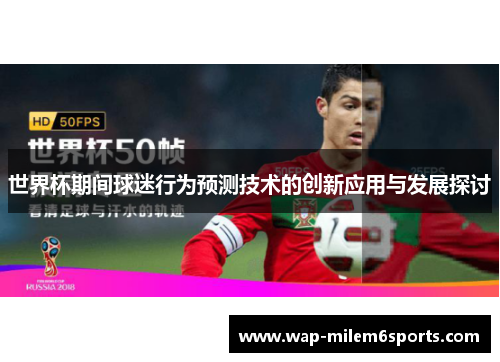 世界杯期间球迷行为预测技术的创新应用与发展探讨