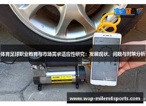 体育足球职业教育与市场需求适应性研究：发展现状、问题与对策分析