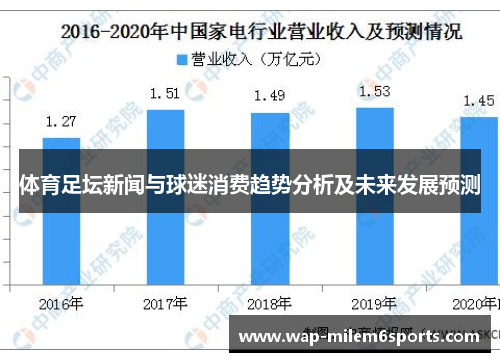 体育足坛新闻与球迷消费趋势分析及未来发展预测