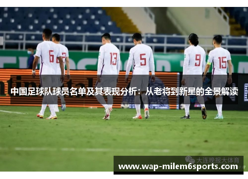 中国足球队球员名单及其表现分析：从老将到新星的全景解读
