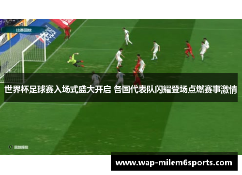 世界杯足球赛入场式盛大开启 各国代表队闪耀登场点燃赛事激情