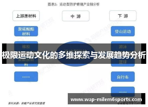 极限运动文化的多维探索与发展趋势分析