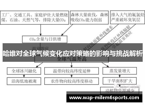 哈维对全球气候变化应对策略的影响与挑战解析