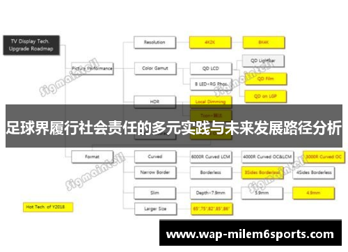 足球界履行社会责任的多元实践与未来发展路径分析